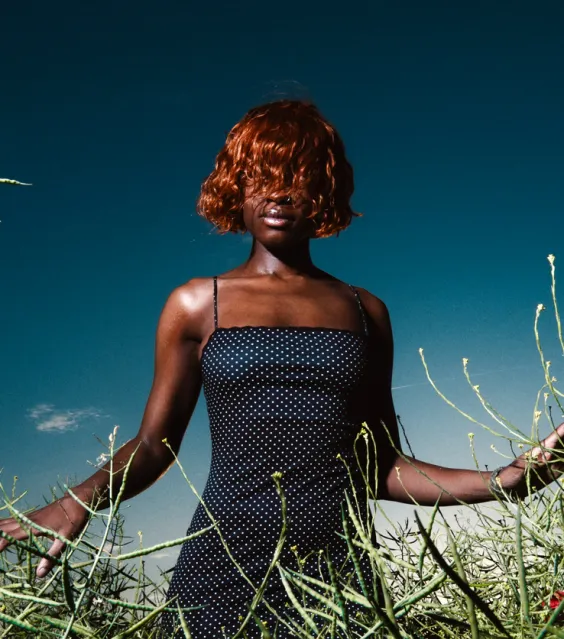 V_LinLin_Photo_03_DR