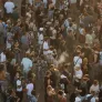 Foule