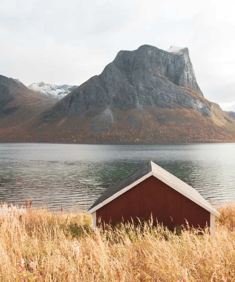 Paysage scandinave