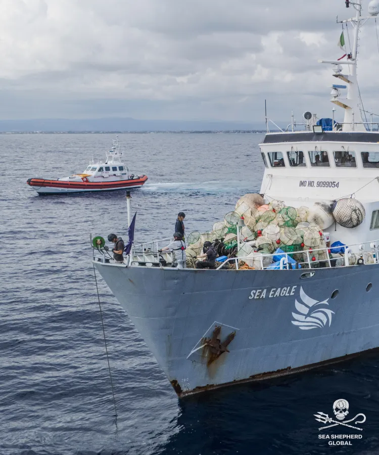 Sea Shepherd