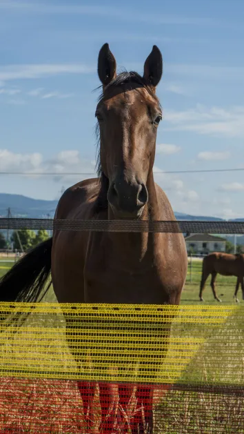 politique-durabilite