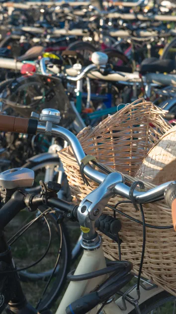 À vélo à Paléo