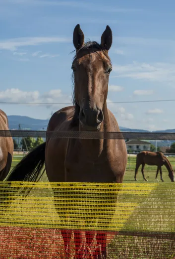politique-durabilite