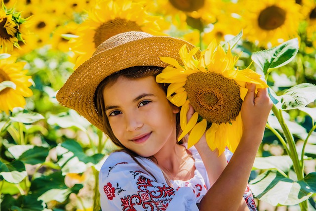 Association Sunflower | Paléo